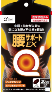 Waist Support EX
