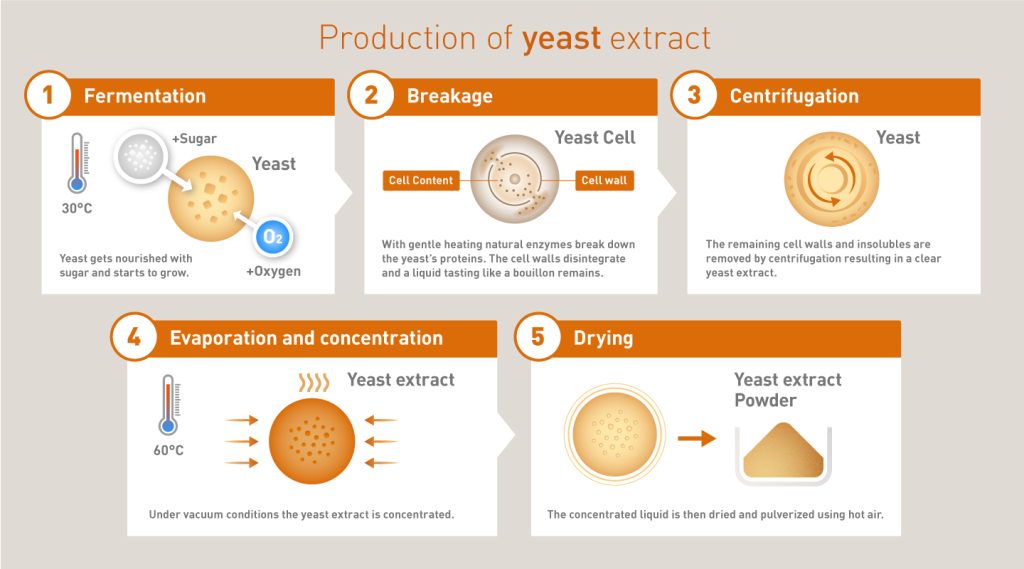 Production of yeast extract