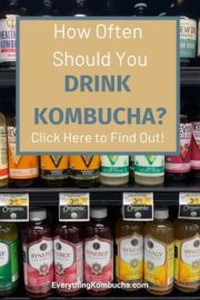 Kombucha, kefir, fruit vinegar…what’s the “magic” of fermented drinks that are so popular around the world?