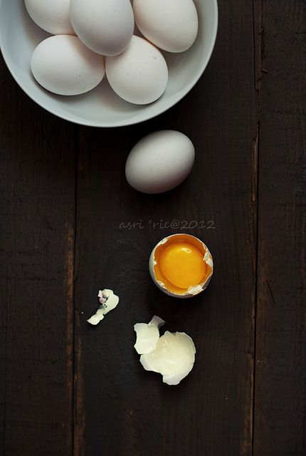 Egg Nutrition